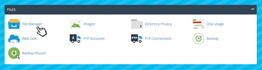 cpanel-file